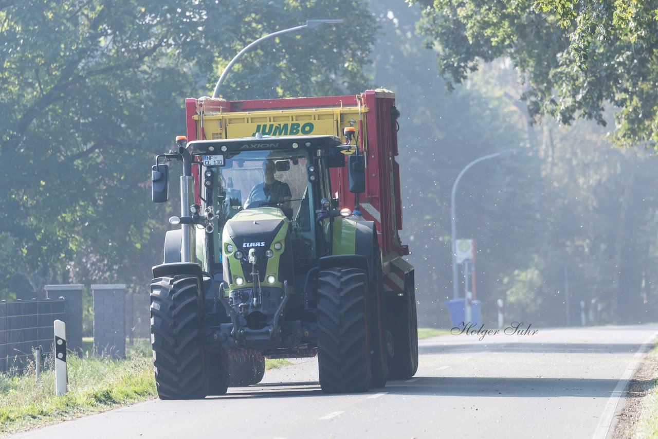 Bild 163 - Maisernte